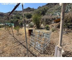 FINCA RUSTICA EN VENTA EN LA GAVIA DE TELDE