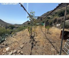 FINCA RUSTICA EN VENTA EN LA GAVIA DE TELDE
