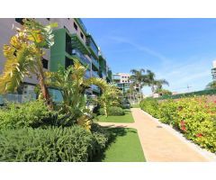 Apartamento en Alquiler en Pilar de la Horadada, Alicante
