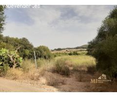Pisos en Venta  Porreres Baleares