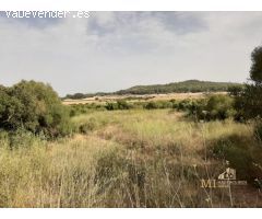 Pisos en Venta  Porreres Baleares