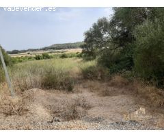 Pisos en Venta  Porreres Baleares
