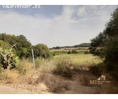 Pisos en Venta  Porreres Baleares