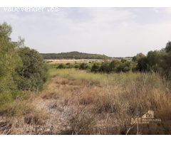 Pisos en Venta  Porreres Baleares