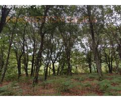Parcela en Venta en Goian Lugo