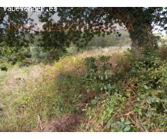 Solar residencial en Venta en Lañas (Santa Maria) La Coruña