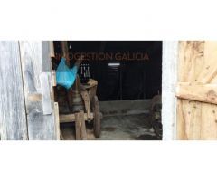 Suelo rústico en Venta en Aldemunde La Coruña