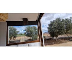 Casa-Chalet en Venta en Triquivijate Las Palmas