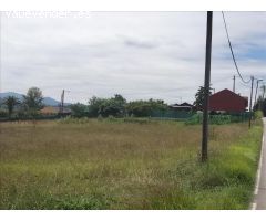 Suelo urbano residencial en LA CRUZ