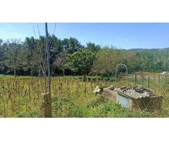 Casa de 2 plantas con terreno