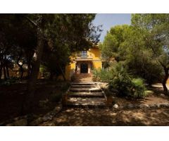 Casa-Chalet en Venta en Rojales Alicante
