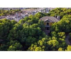 Casa-Chalet en Venta en Rojales Alicante