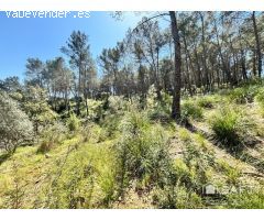 Terreno urbanizable en venta en Urb. Las Colinas de Olivella