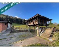 Finca completa con 2 casas y todo incluido