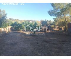 Venta de dos Lejíos juntos en la zona de la Zafrilla EL Ejido. Suman 3250m2 con casa y piscina. Exc