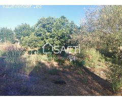 Venta de dos Lejíos juntos en la zona de la Zafrilla EL Ejido. Suman 3250m2 con casa y piscina. Exc
