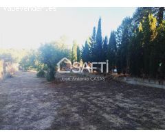 Venta de dos Lejíos juntos en la zona de la Zafrilla EL Ejido. Suman 3250m2 con casa y piscina. Exc