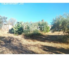 Venta de dos Lejíos juntos en la zona de la Zafrilla EL Ejido. Suman 3250m2 con casa y piscina. Exc