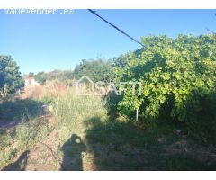 Venta de dos Lejíos juntos en la zona de la Zafrilla EL Ejido. Suman 3250m2 con casa y piscina. Exc
