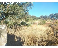 Venta de dos Lejíos juntos en la zona de la Zafrilla EL Ejido. Suman 3250m2 con casa y piscina. Exc