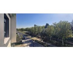 3ª FASE DE CHALETS ADOSADOS DE UNA PLANTA EN CASARRUBUELOS (MADRID)