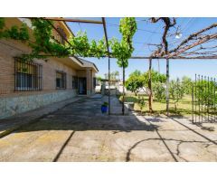 Casa-Chalet en Venta en San Jose De La Rinconada Sevilla