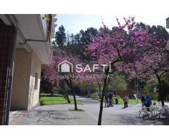 Pisos en Venta  Arrigorriaga Bizkaia