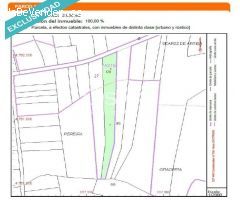 TERRENO EN VENTA EN SEARES DE ARRIBA -TAPIA-AMES.