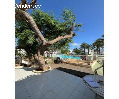 Pisos en Venta  Corralejo Las Palmas
