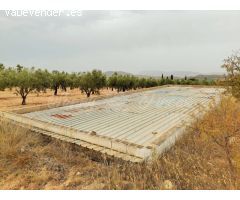 Casa de campo-Masía en Venta en Yecla Murcia 