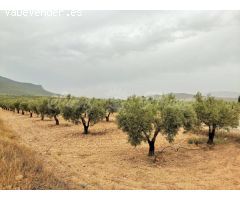 Casa de campo-Masía en Venta en Yecla Murcia 