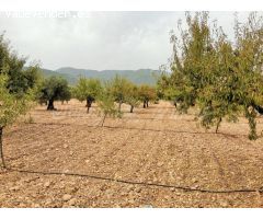 Casa de campo-Masía en Venta en Yecla Murcia 
