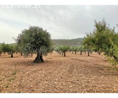 Casa de campo-Masía en Venta en Yecla Murcia 