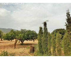 Casa de campo-Masía en Venta en Yecla Murcia 