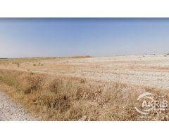 Finca Rústica en venta en Bargas de 21960 m2