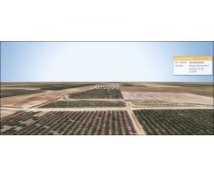 Terreno Rústico en Alfés – 50,000 m²