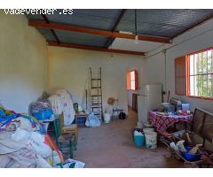 Parcela en olias con casa de aperos