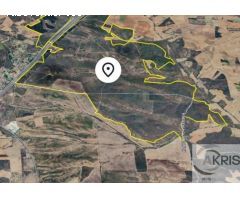 TERRENO ESPECIALMENTE PARA CAZA EN CASARRUBIOS DEL MONTE