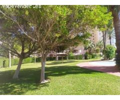 Pisos en Venta  Campello, El Alicante