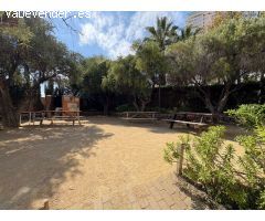 Pisos en Venta  Campello, El Alicante