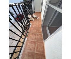 Adosado en urbanización con piscina frente al mar