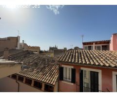 Pisos en Venta  Palma De Mallorca Baleares