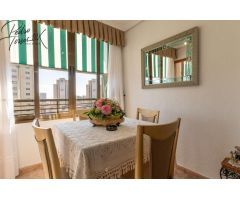 Pisos en Venta  Benidorm Alicante