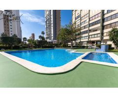 Pisos en Venta  Benidorm Alicante