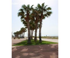 Pisos en Venta  Cubelles Barcelona