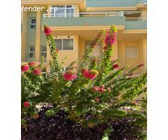 Pisos en Venta  Xeraco Valencia