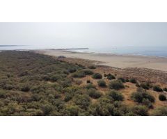 Pisos en Venta  Isla De Canela Huelva