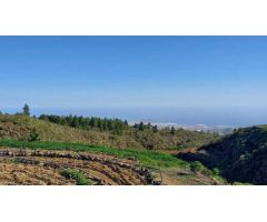 Casa de pueblo en Venta en Vilaflor Santa Cruz de Tenerife 