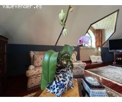 SAFTI vende casa de campo exclusiva de piedra con calidades premium en Teo. Elegancia, espacio y con