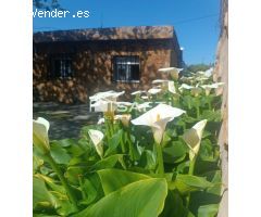Pequeña casa con grande terreno rústico.